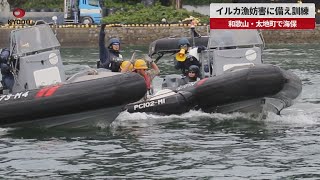 【速報】イルカ漁妨害に備え訓練 和歌山・太地町で海保