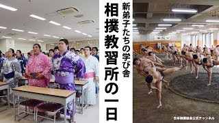 力士が通う学校！？相撲教習所の一日