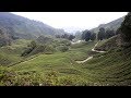 Top Things to Do in the Cameron Highlands, Malaysia
