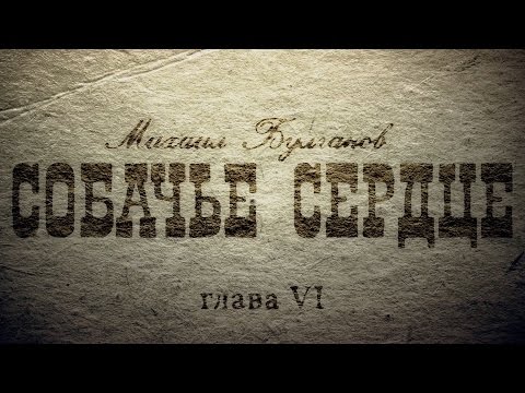 Глава 6. Отрывок 12