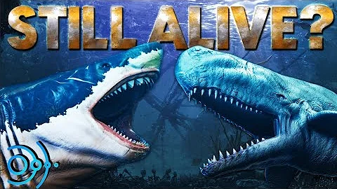 Why the Megalodon is DEFINITELY Extinct (Top 10 Reasons)