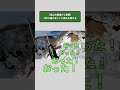 【尾根から谷へ】雪山で狙う100mの鹿 #狩猟