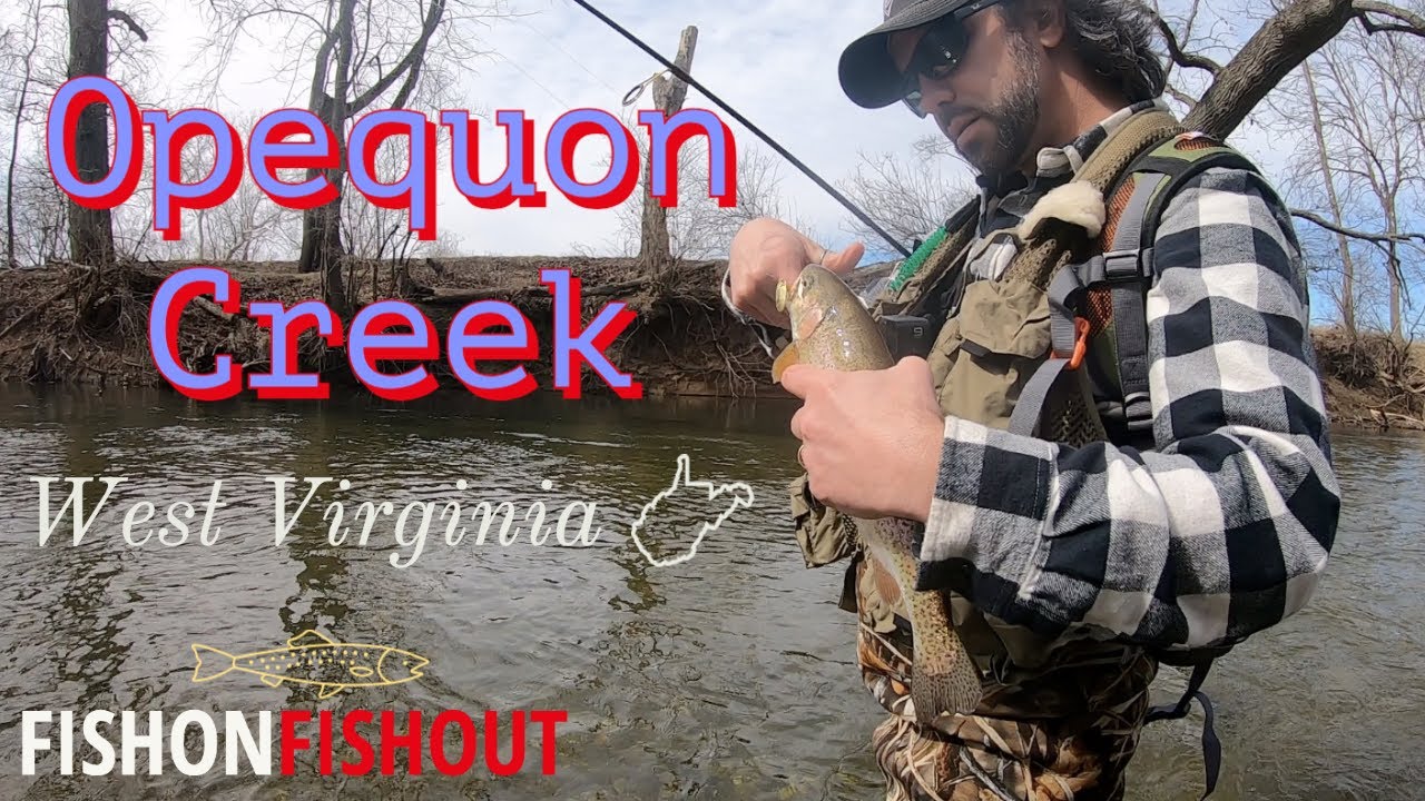 Opequon Creek Trout Fishing! winter (successful) fishing for golden