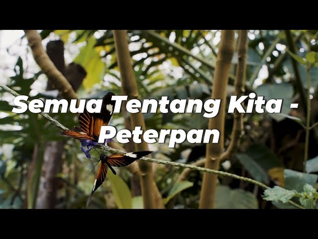 Semua Tentang Kita - Peterpan (Lirik) class=