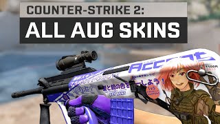All AUG Skins - Counter-Strike 2