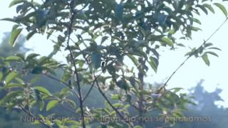 [ESP SUB] Let me be the man who loves you (Official MV-FullHouseThai)