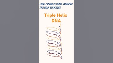 Triple stranded Helix DNA structure and Linus Pauling  #dna #dnastructure #doublehelix