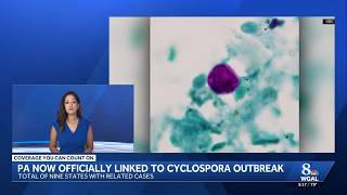 Cyclospora outbreak now linked to Pennsylvania, CDC says