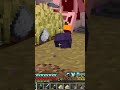 endermite