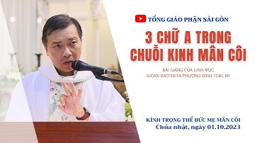 3 chữ A trong chuỗi kinh Mân Côi - Lm GB Phương Đình Toại, MI | Kinh trọng thể Đức Mẹ Mân Côi