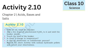 Activity 2.10 Class 10 Science | Acid, baes and salt | Activity Explanation