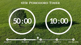 50 Minute Pomodoro Timer🌳Morning Forest Sound 숲 ASMR📚4-Hour Study ⏱Pomodoro 50/10, 50 min x 4 sets