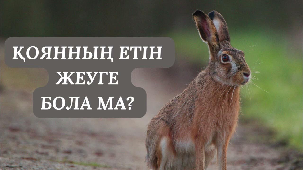 Ол қолын есегіне қойды (бейне)