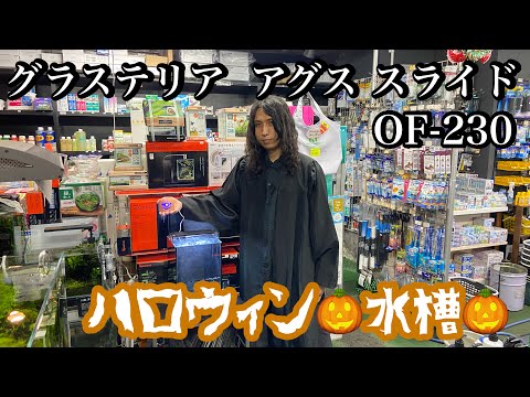 グラステリア アグス スライド OF-230で作るハロウィン水槽 - YouTube