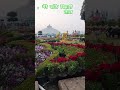 #मेरे बांके बिहारी लाल,,,#video shots#viral video#tranding video#YouTube viral video#viral shots#sho