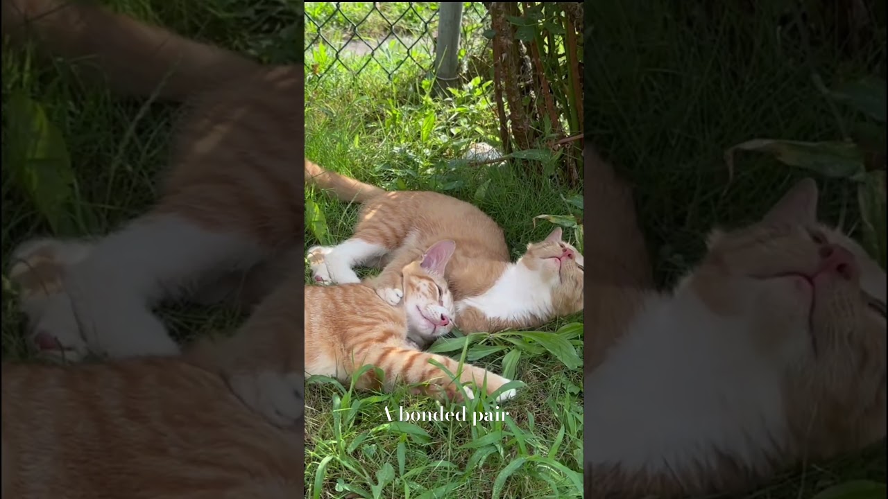 ‪@scoutmasterdrie‬