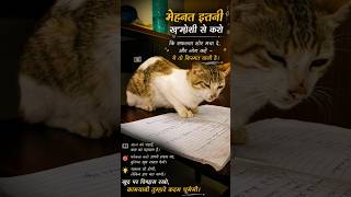 study life 😞😞 #cat #funny #status #story #motivation #upsc