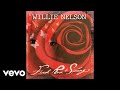 Willie Nelson - Our Song (Official Audio)