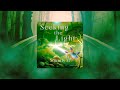 Seeking the Light・Sounds M