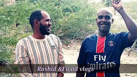 SHEEKO QOSOL LEH RASHID & FUAD