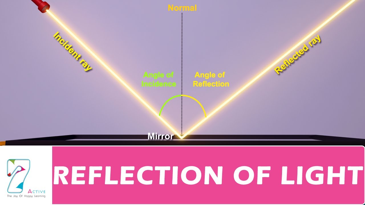 reflection meaning