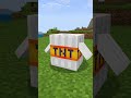 LA TNT DEL POLLO SU MINECRAFT #shorts