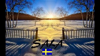 Download Lagu Sala SWEDEN - Visiting the City, Snow, Nature, Burgers, Pizza MP3 Download Lagu Sala SWEDEN - Visiting the City, Snow, Nature, Burgers, Pizza MP3