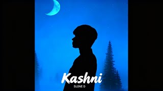 KASHNI - SL0NE D | Remixed cover version | @anmol.a.official 