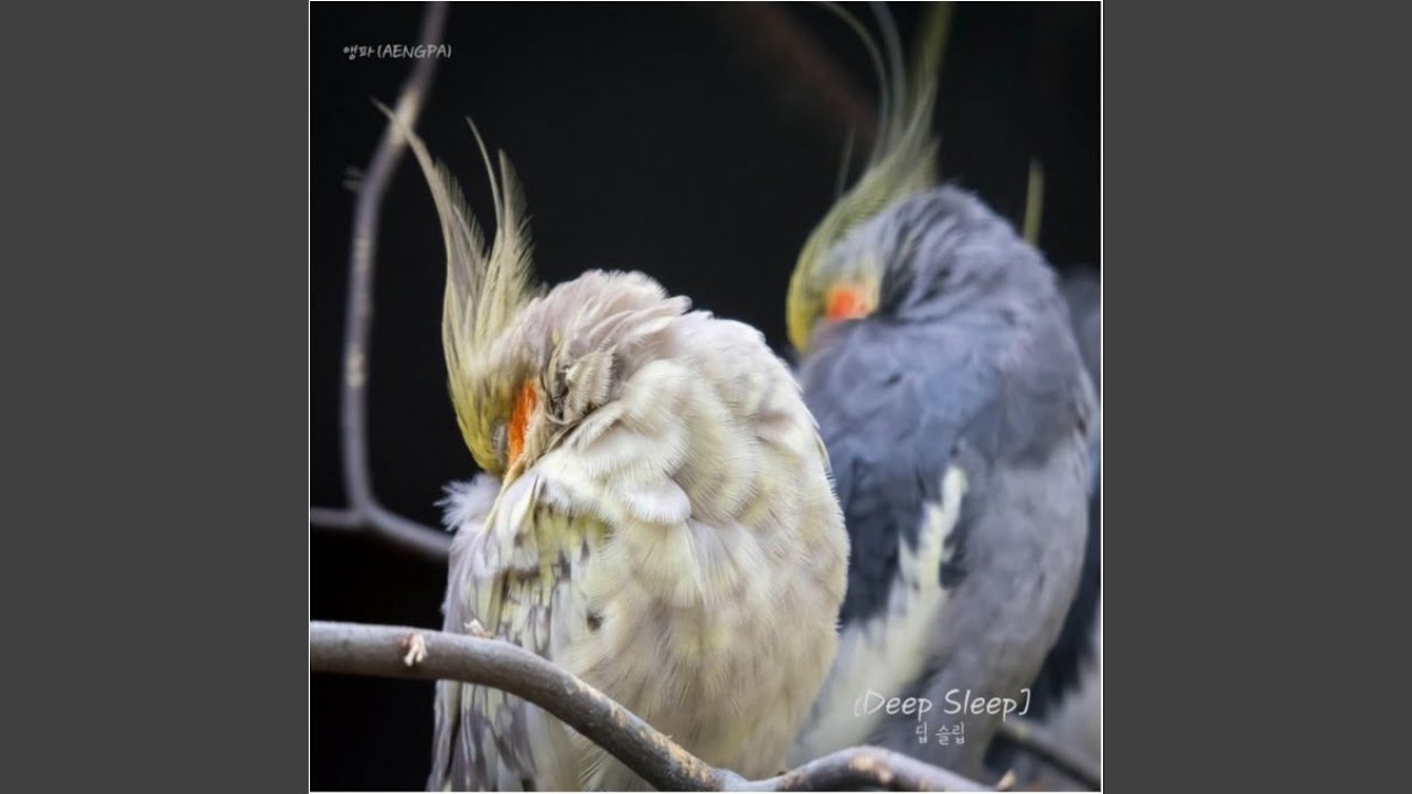 Deep Sleep - YouTube