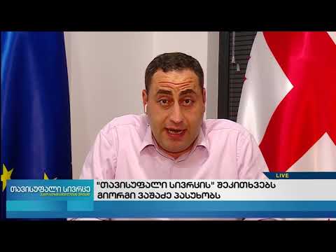 თავისუფალი სივრცე-წინასაარჩევნო გარემო-პოლიტიკური შეფასებები