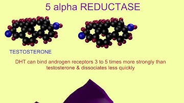 dihydrotestosterone & 5 alpha reductase