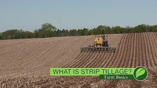 Farm Basics # 1073 What Is Strip Tillage? (Air Date 10-28-18)