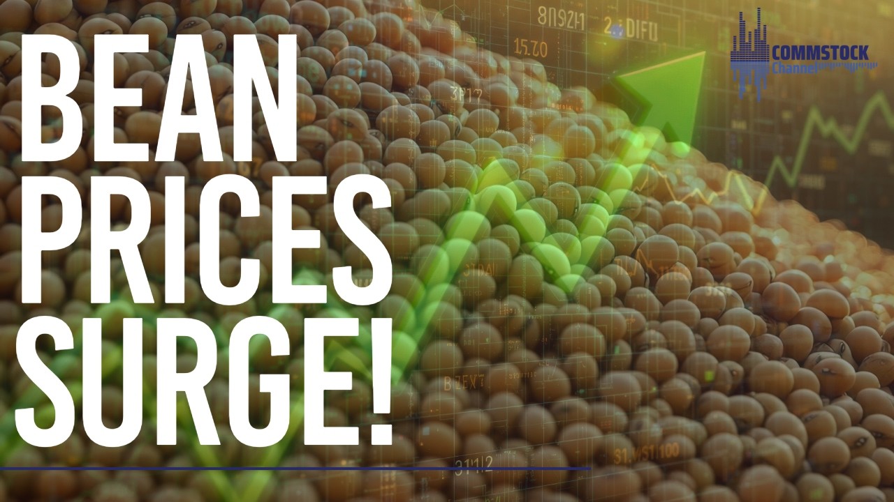 Acres Report Causes Bean Market Rally! With Matthew Kruse - YouTube