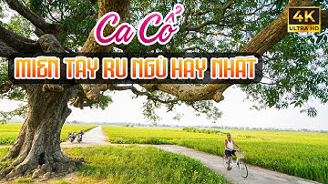 Ca Vọng Cổ Miền Tây Hơi Dài Ru Ngủ Cực Thư Giãn - Ca Cổ Cải Lương Dễ Nghe Dễ Ngủ🌾Tân Cổ Dân Ca