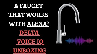 Delta Voice IQ Kitchen Faucet and Give Away