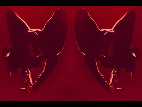 Darci - These Nights (Official Audio) auf YouTube ansehen Darci - These Nights (Official Audio) auf YouTube ansehen