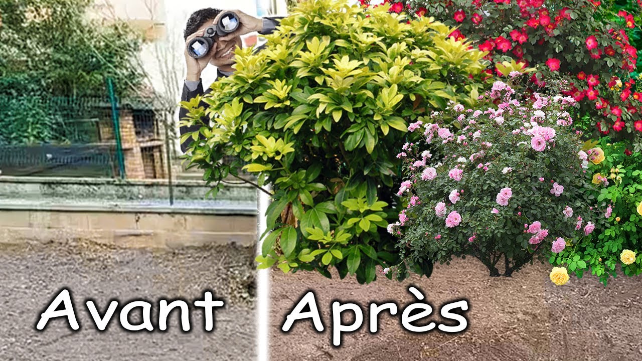 Comment planter une haie ? Les Étapes pour PLANTER une HAIE.