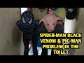 Spiderman Black Venom &amp; Pig man Problem In The Toilet
