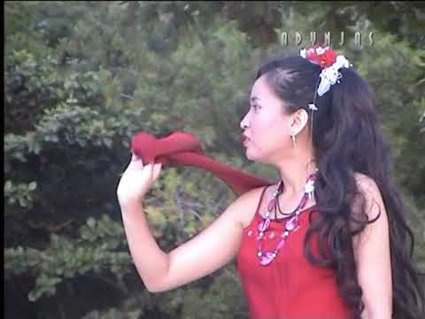 APA GUNA BERJANJI _ Juliasnita _ Karaoke