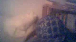 Chillen Fr Anfnger Teil 1