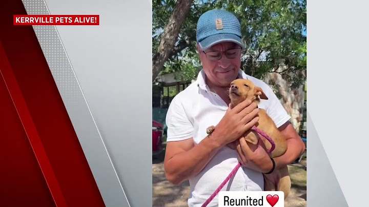 Heartwarming video: Hill Country flood survivors reunite with their pets