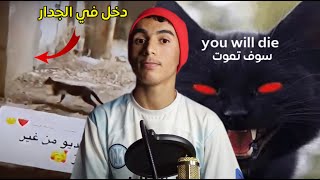 هل القط الاسود جن ?? مقاطع غريبة ليس لها تفسير ?❌️