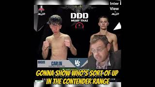 Domination DDD show preview, Mark Harrington