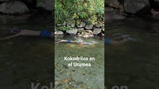 kokodrilos en el Urumea