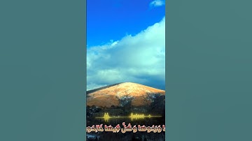 سورة الأنبياء و،.كا.نك تسمعها لأ،،و.ل مر.ة💕 🏵️💭،💮💟💕❤️بصوت الشيخ حمزة مدبو.ح 🌼💟🌹..💚❣️💕؛،💐