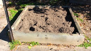 How To Prepare A Raised Garden Bed For Planting
