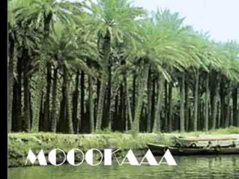 حنيت الكم ياهلي