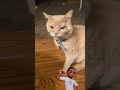 Bro look angry