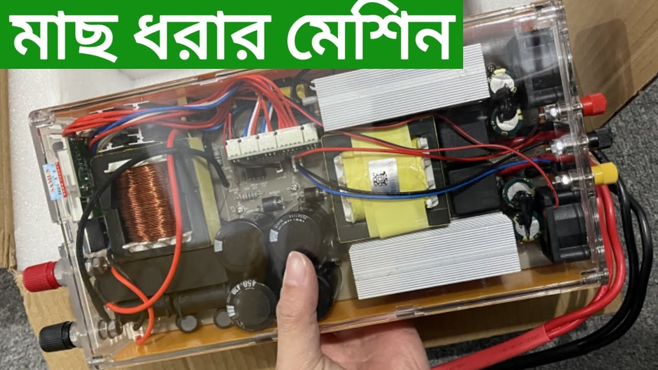 Jinsiy qiynoqlar video