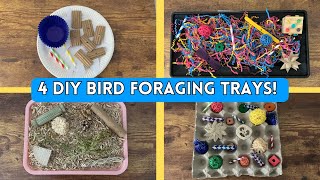 4 DIY BIRD FORAGING TRAYS | BirdNerdSophie AD